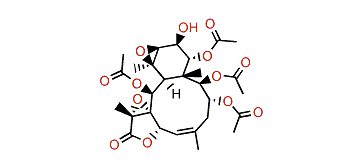 Stecholide L